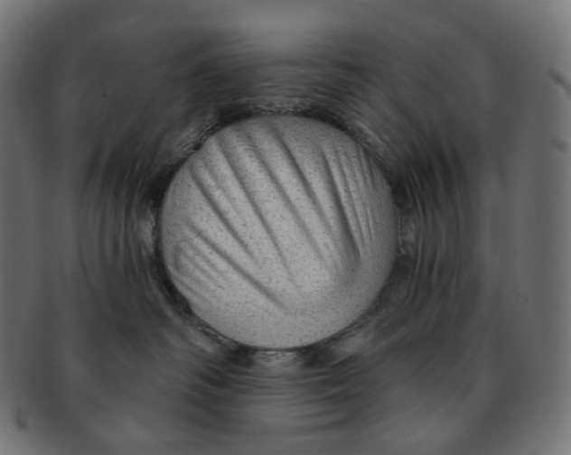 X0000091720334200709211006