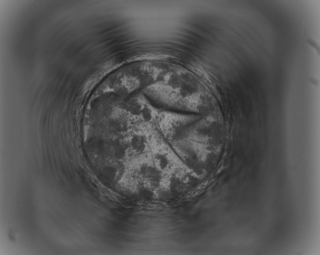 X0000091720337200709211005