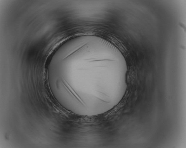 X0000091720338200709211005