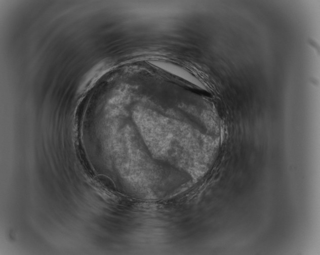 X0000091720339200709211005