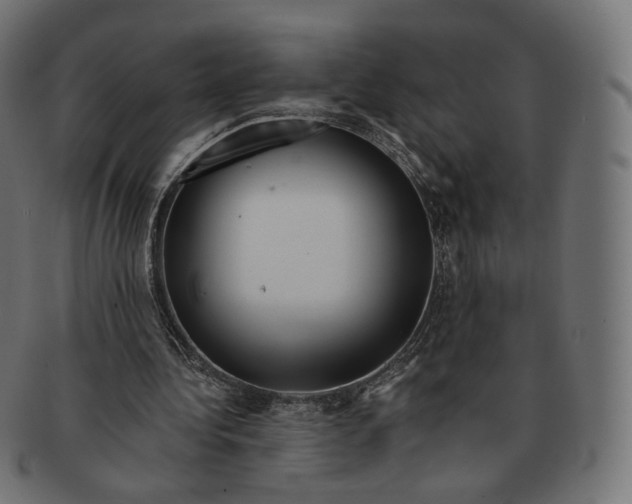 X0000091720340200709211005