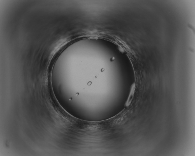 X0000091720344200709211005