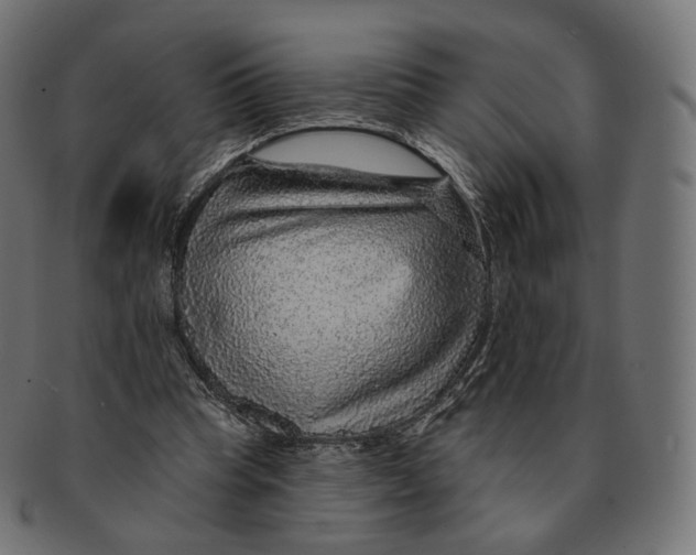 X0000091720345200709211005