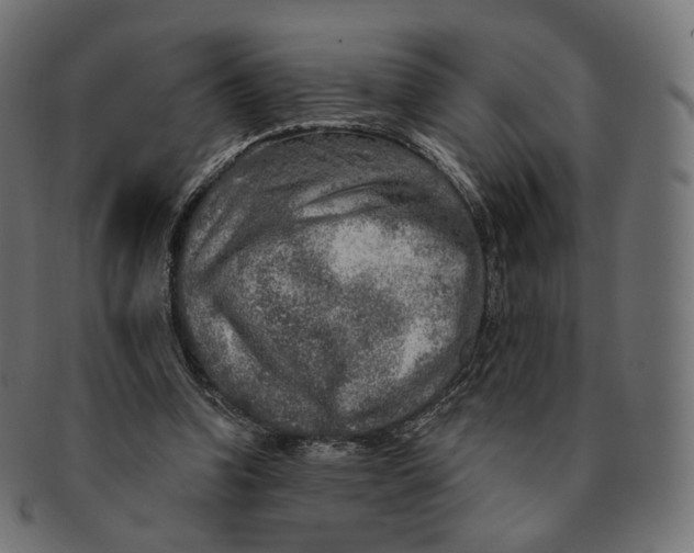 X0000091720346200709211005