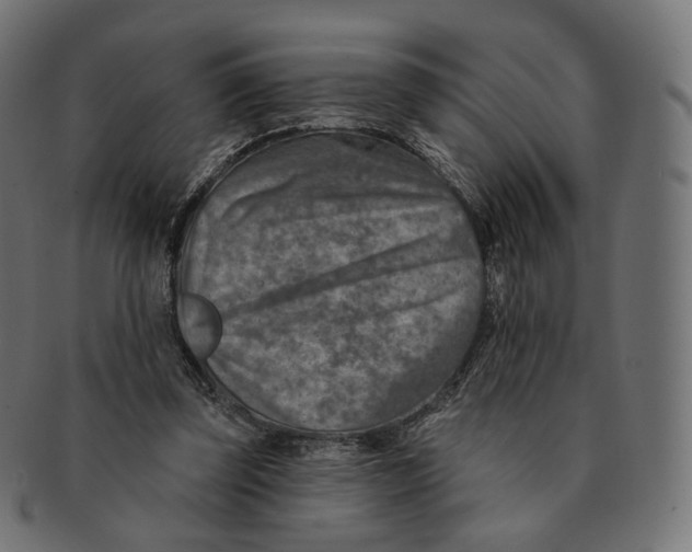 X0000091720347200709211005