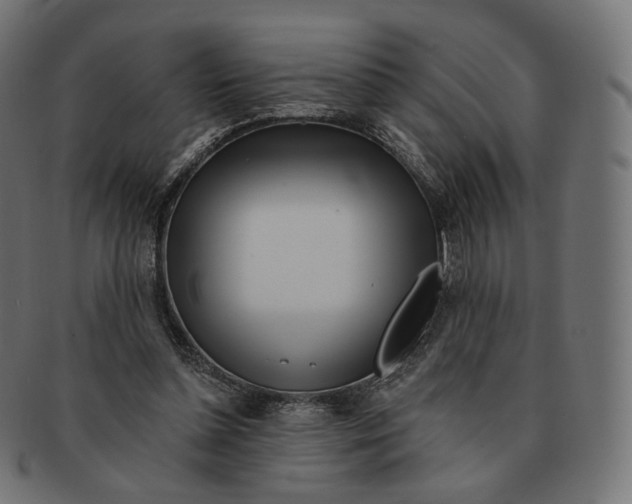 X0000091720348200709211005