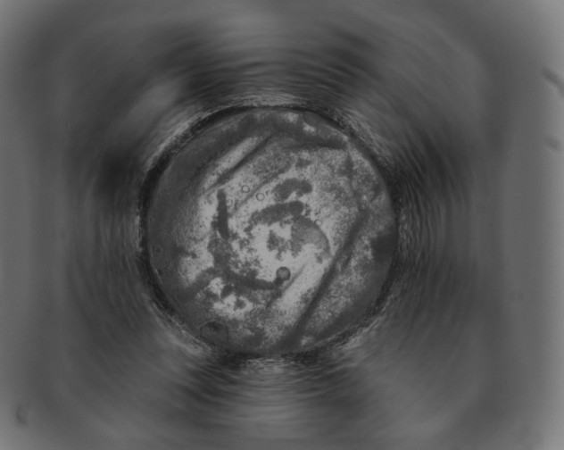 X0000091720351200709211005