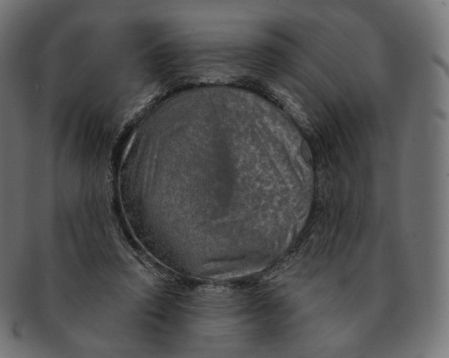 X0000091720354200709211005