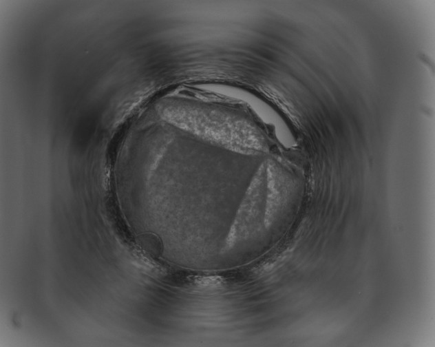 X0000091720355200709211005