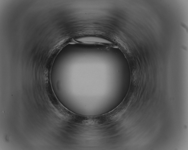 X0000091720356200709211005