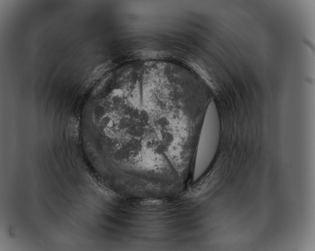 X0000091720357200709211005