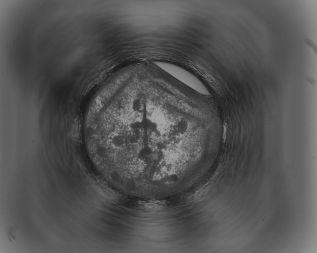 X0000091720359200709211005