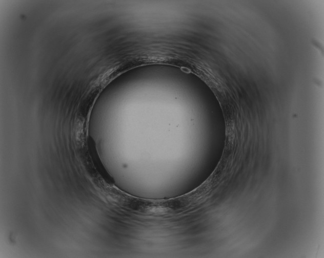 X0000091720360200709211005