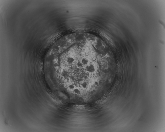 X0000091720361200709211005