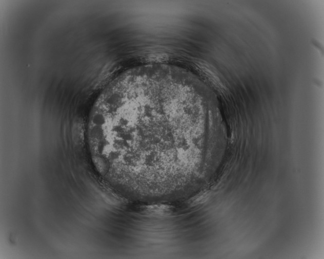 X0000091720363200709211005