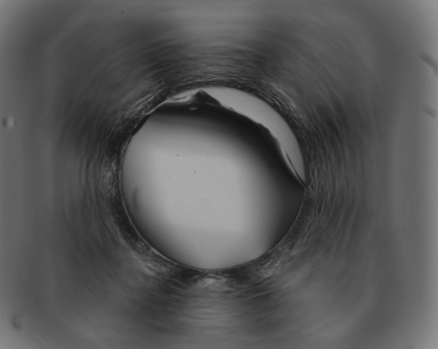 X0000091720364200709211005