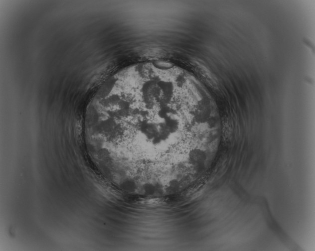 X0000091720365200709211005