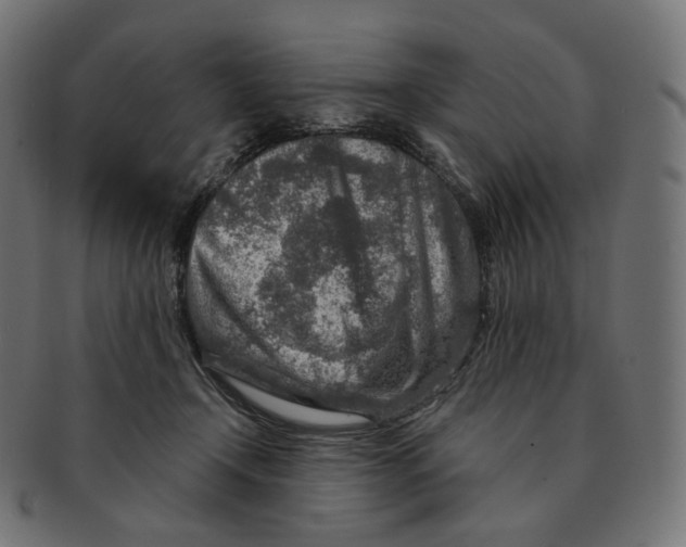 X0000091720366200709211005