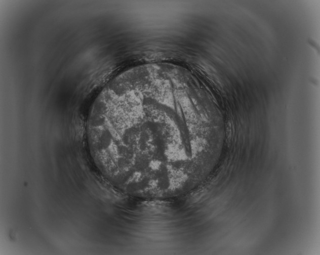 X0000091720367200709211005