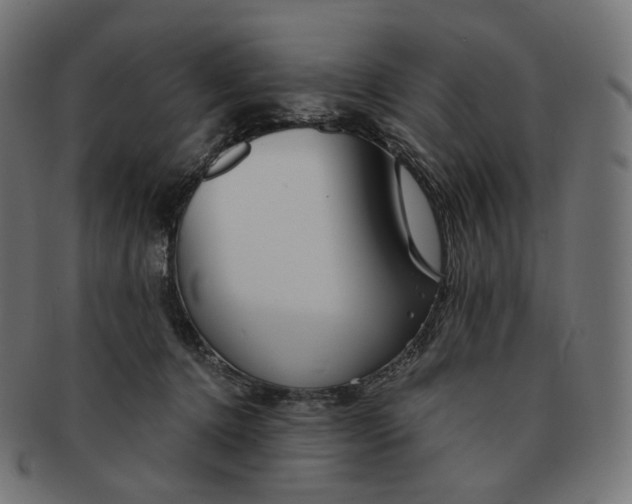 X0000091720368200709211005