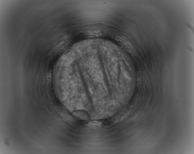 X0000091720369200709211005