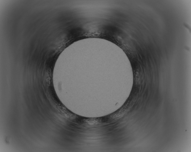 X0000091720370200709211005