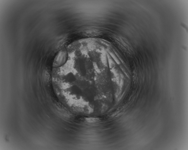 X0000091720371200709211005