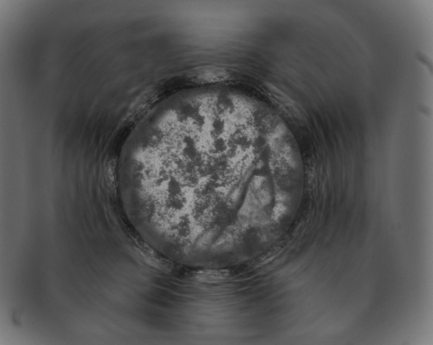 X0000091720373200709211005