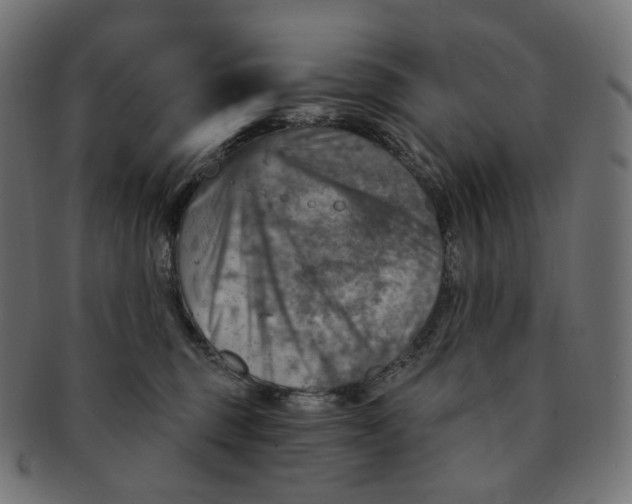 X0000091720375200709211005