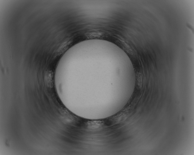 X0000091720378200709211006