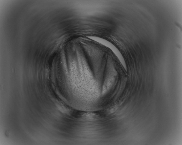 X0000091720379200709211006