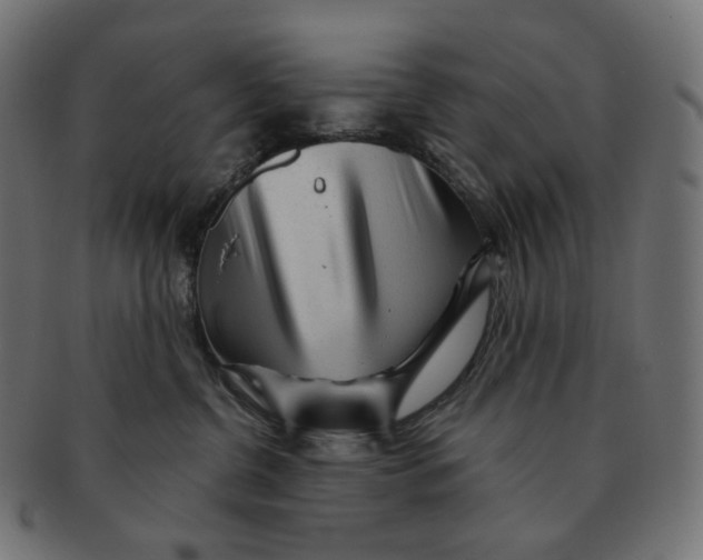 X0000091720380200709211006