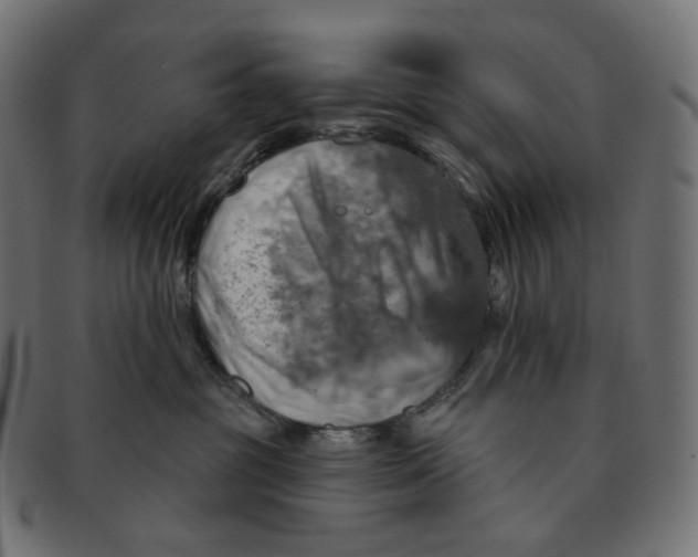 X0000091720381200709211006