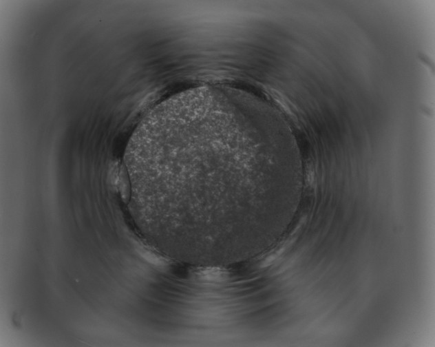 X0000091720383200709211006