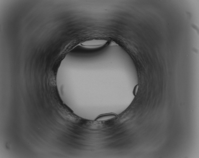 X0000091720384200709211006