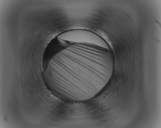 X0000091720385200709211005