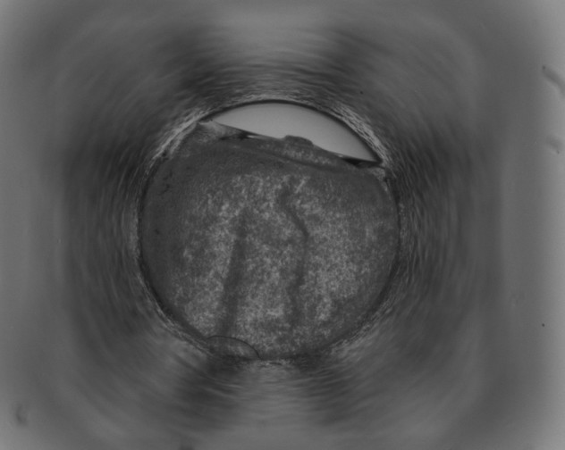 X0000091720386200709211005