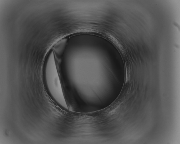 X0000091720387200709211005