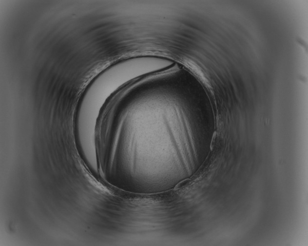 X0000091720389200709211005