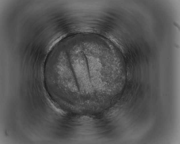 X0000091720390200709211005