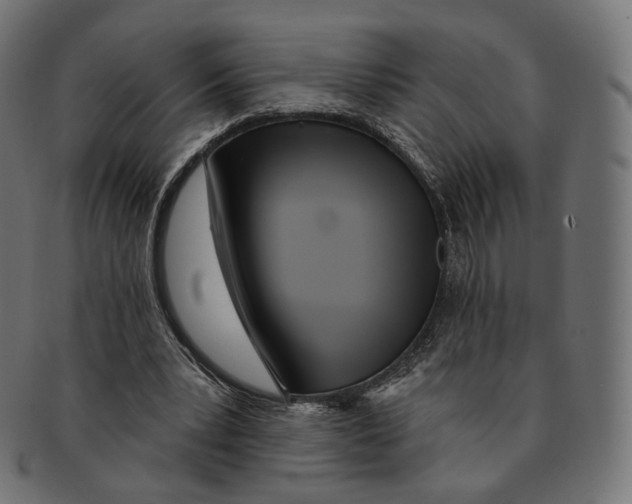 X0000091720391200709211005