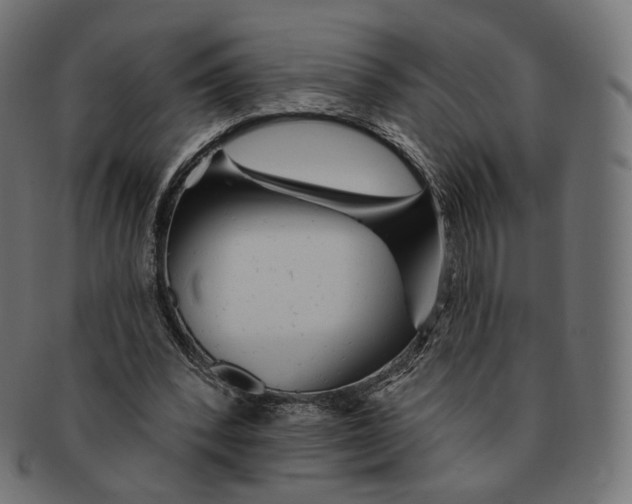 X0000091720392200709211005