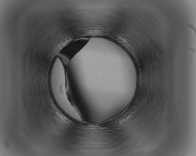 X0000091720393200709211005