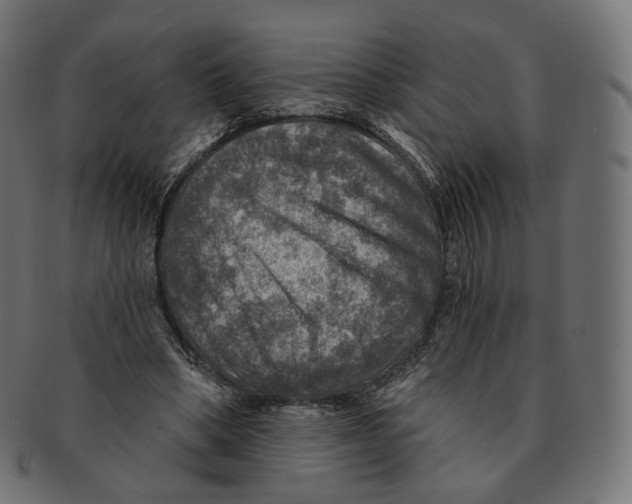 X0000091720394200709211005