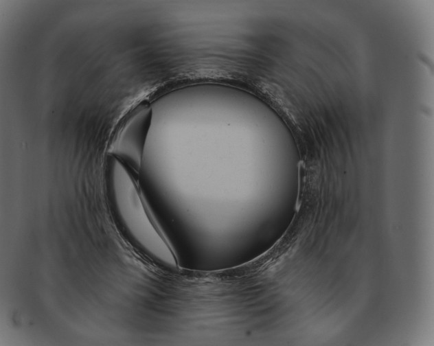 X0000091720395200709211005