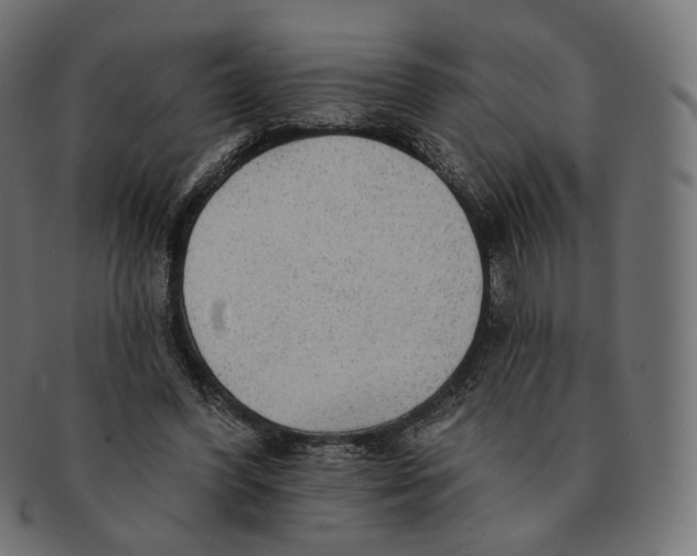 X0000091720396200709211005