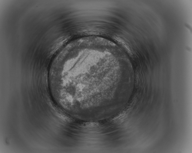 X0000091720398200709211005