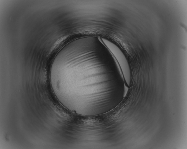 X0000091720400200709211005