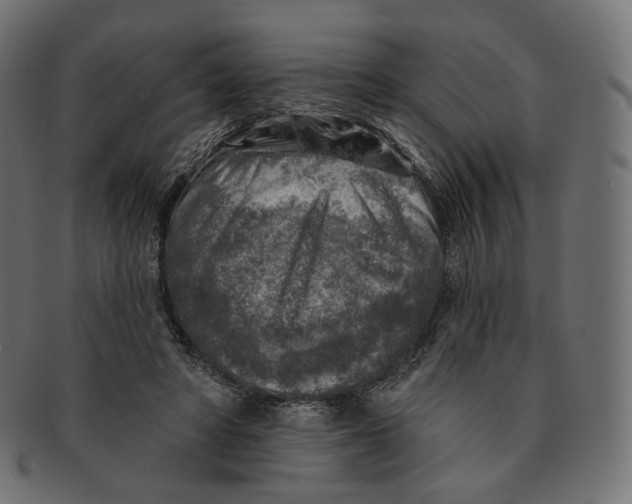 X0000091720402200709211005