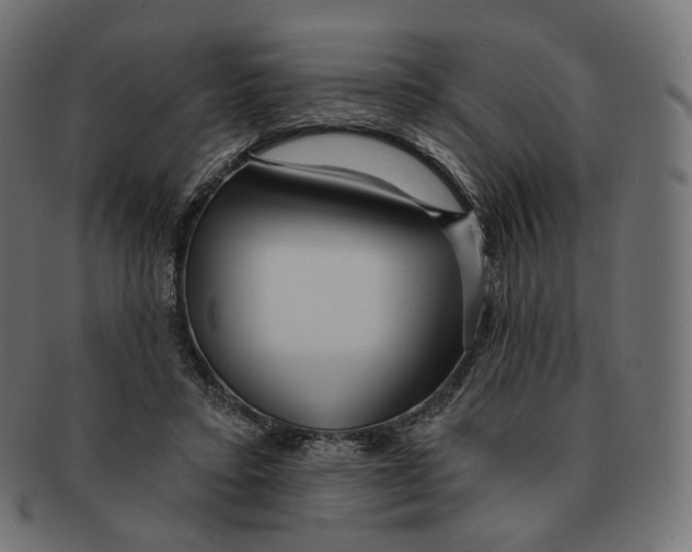 X0000091720403200709211005